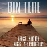 Bin Tere