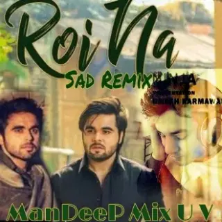 Roi Naa Remix Ft Ninja