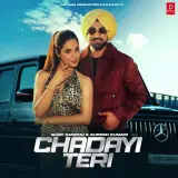 Chadayi Teri