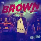 Brown Kudi