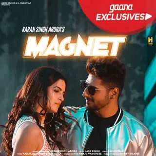 Magnet