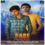 Fake