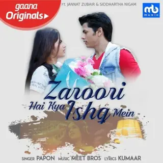 Zaroori Hai Kya Ishq Mein Ft. Meet Bros