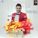 After Love Marriage