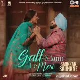 Gall Mann Le Meri
