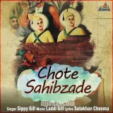 Chote Sahibzade