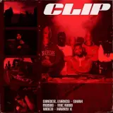 Clip
