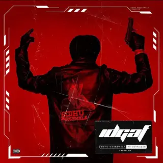 IDGAF Ft. Asli Maharaja