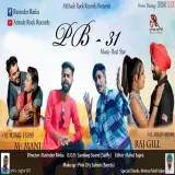 PB 31