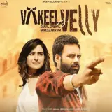 Vakeel Vs Velly