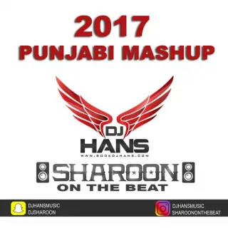 2017 Punjabi Mashup