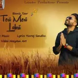Teri Meri Lohri