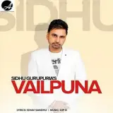 Vailpuna