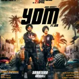 Y.D.M Ft Bir