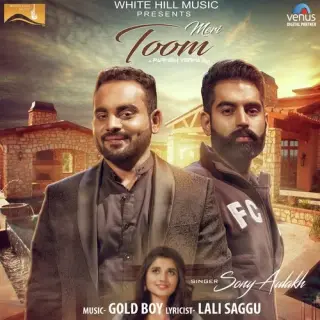 Meri Toom