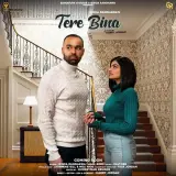 Tere Bina Ft. Ravi RBS