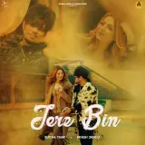Tere Bin