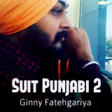 Suit Punjabi 2