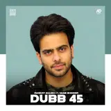 Dubb 45