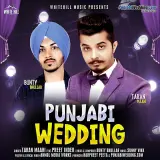 Punjabi Wedding Ft Preet Inder