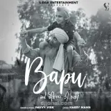 Bapu Kde Roya Hi Nahi