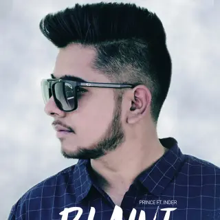 Plaint