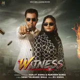 WITNESS
