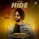 Hide