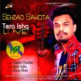 Tera Ishq Love