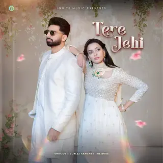 Tere Jehi