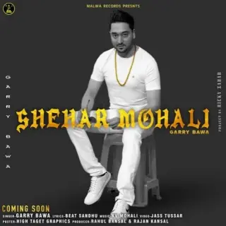 Shehar Mohli