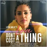 Love Dont Cost A Thing Ft. Malik Sahab