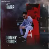 Donnybrook