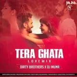 Tera Ghata Love Mix