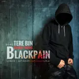 Tere Bin