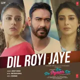 Dil Royi Jaye (De De Pyaar De)