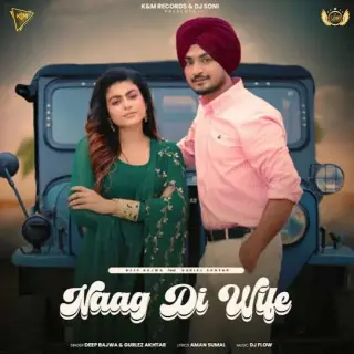 Naag Di Wife Ft. Gurlez Akhtar
