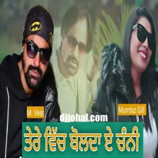 Tere Wich Bolda E Channi