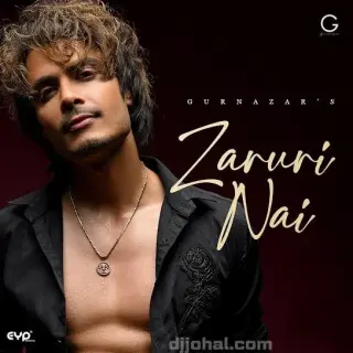 Zaruri Nai