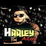 Harley