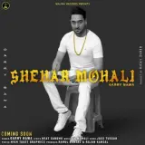 Shehar Mohli