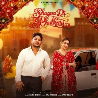 Shagna Di Phulkari