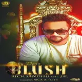 Baby Dont Blush (feat. JSL)
