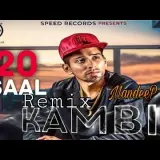 20 Saal Remix