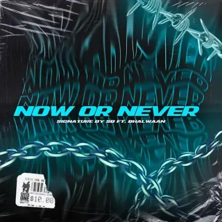 Now or Never Ft. Signature By Sb