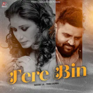 Tere Bin