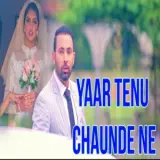Yaar Tenu Chaunde Ne