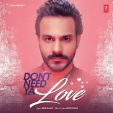 Dont Need Ya Love