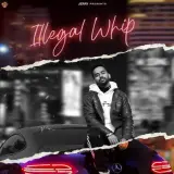 Illegal Whip