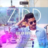 Zidd